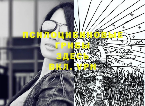 соль ск Медвежьегорск